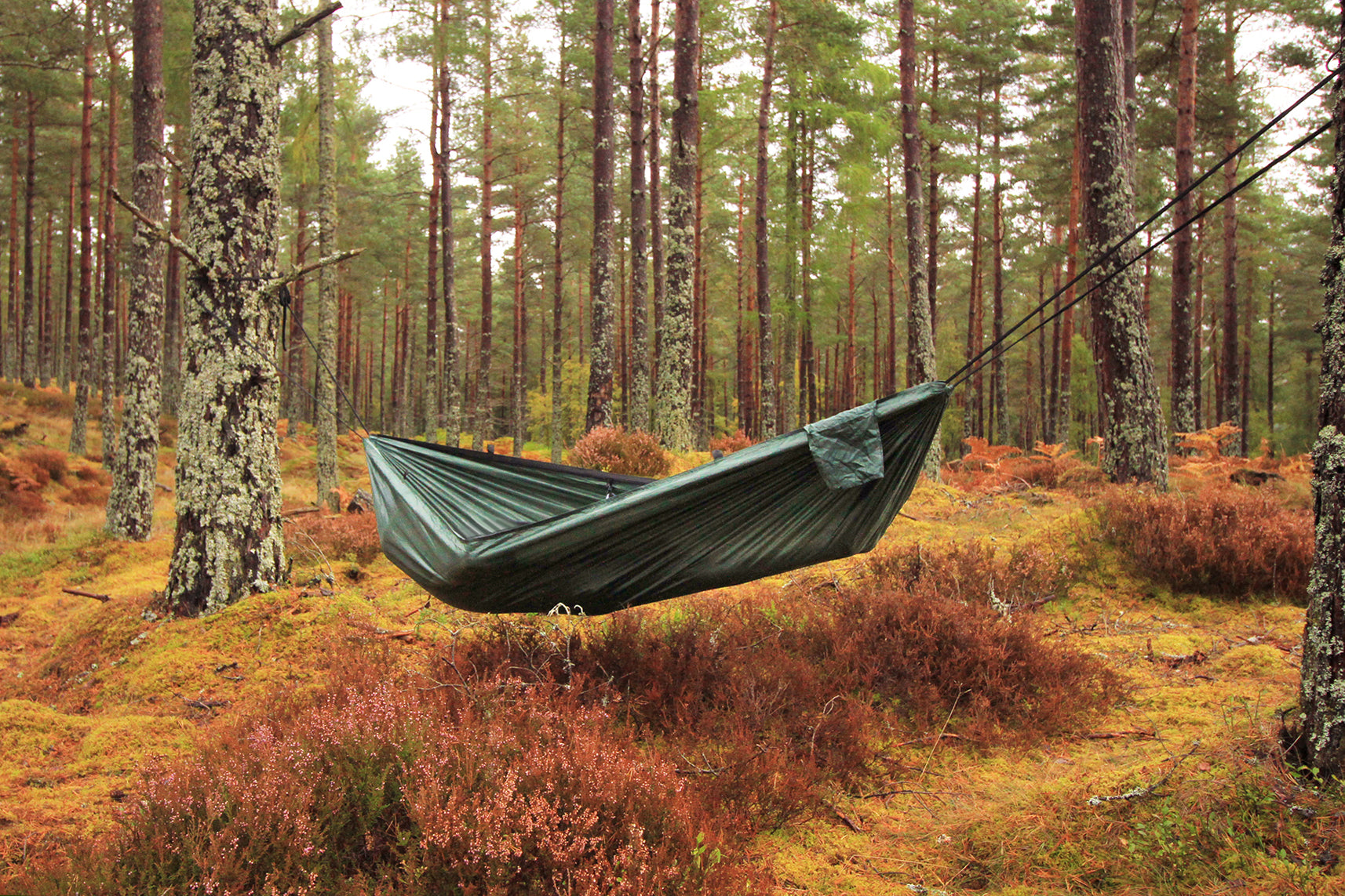 Camping Hammock DD Hammocks