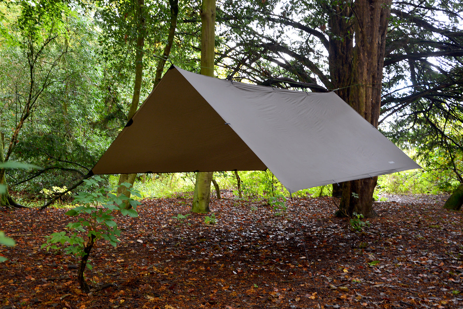 DD SuperLight Tarp