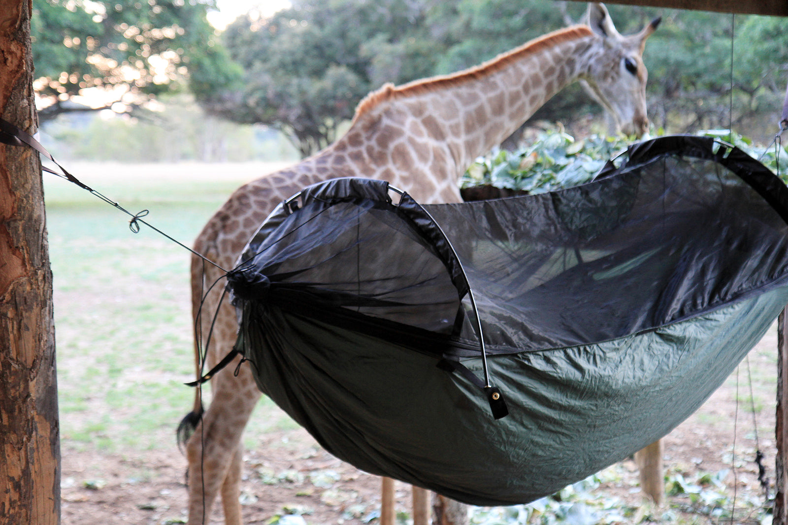 DD SuperLight Jungle Hammock